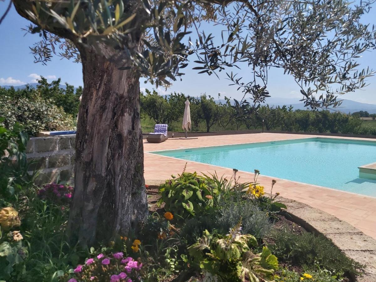 Tenuta Terre Dei Latini Segni Exterior foto
