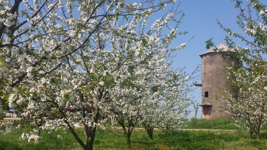 Tenuta Terre Dei Latini Segni Exterior foto